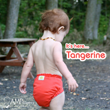 AMP One-Size Duo Diaper - Tangerine