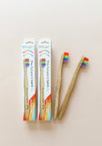 The Future is Bamboo Kid Rainbow Toothbrush