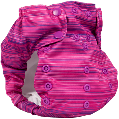 Smart Bottoms Dream Diaper 2.0 - Highlands